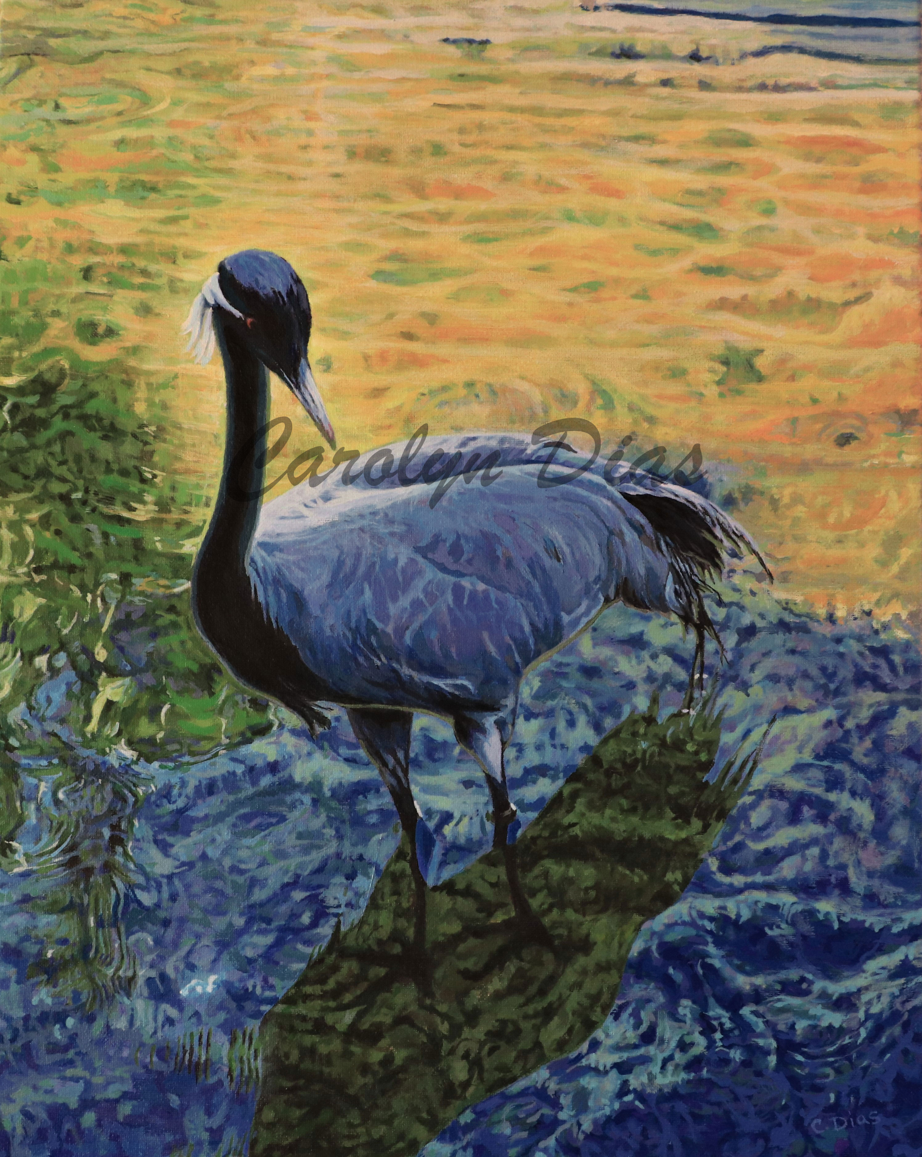 Black Neck Crane Painting