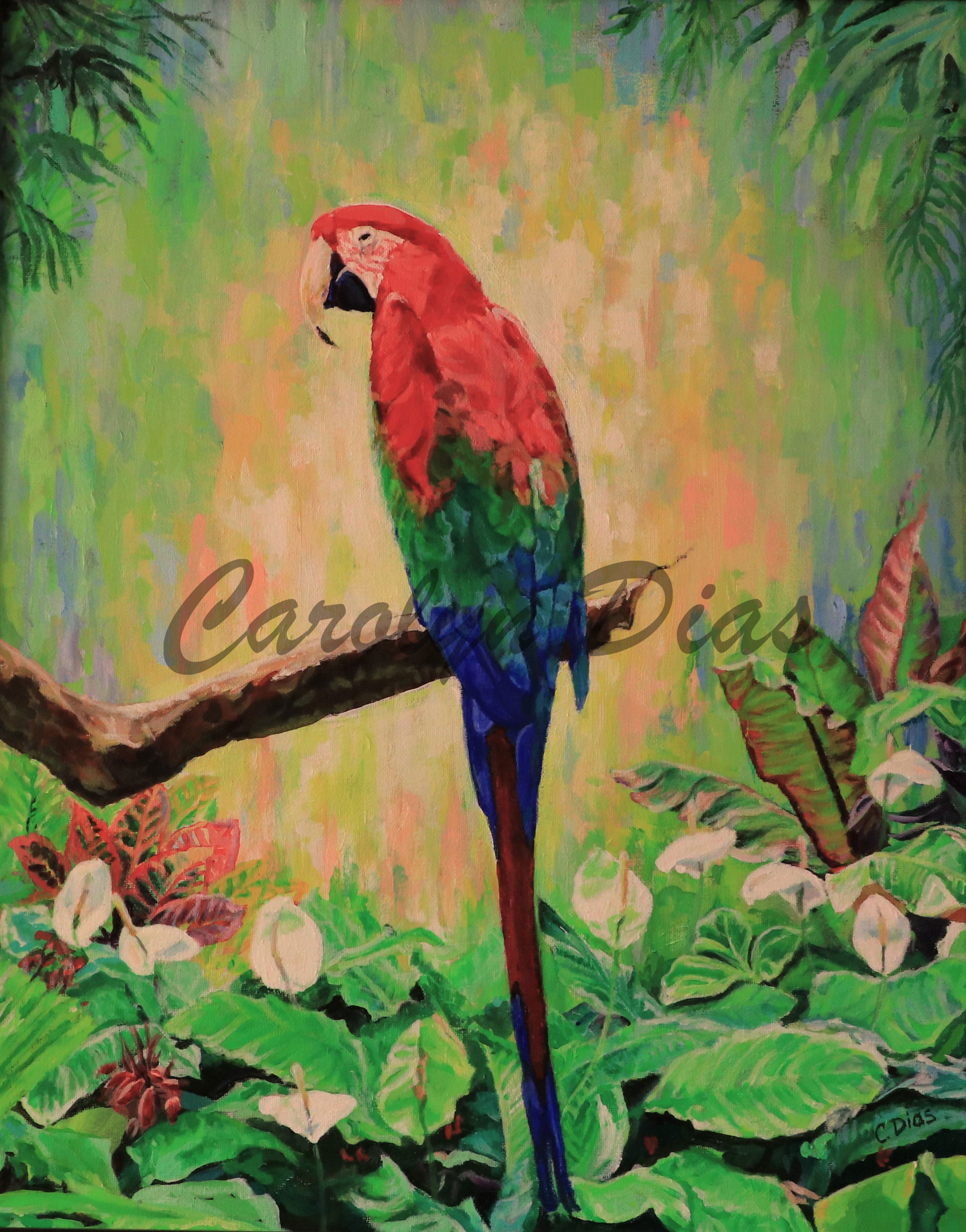 Macaw Painting