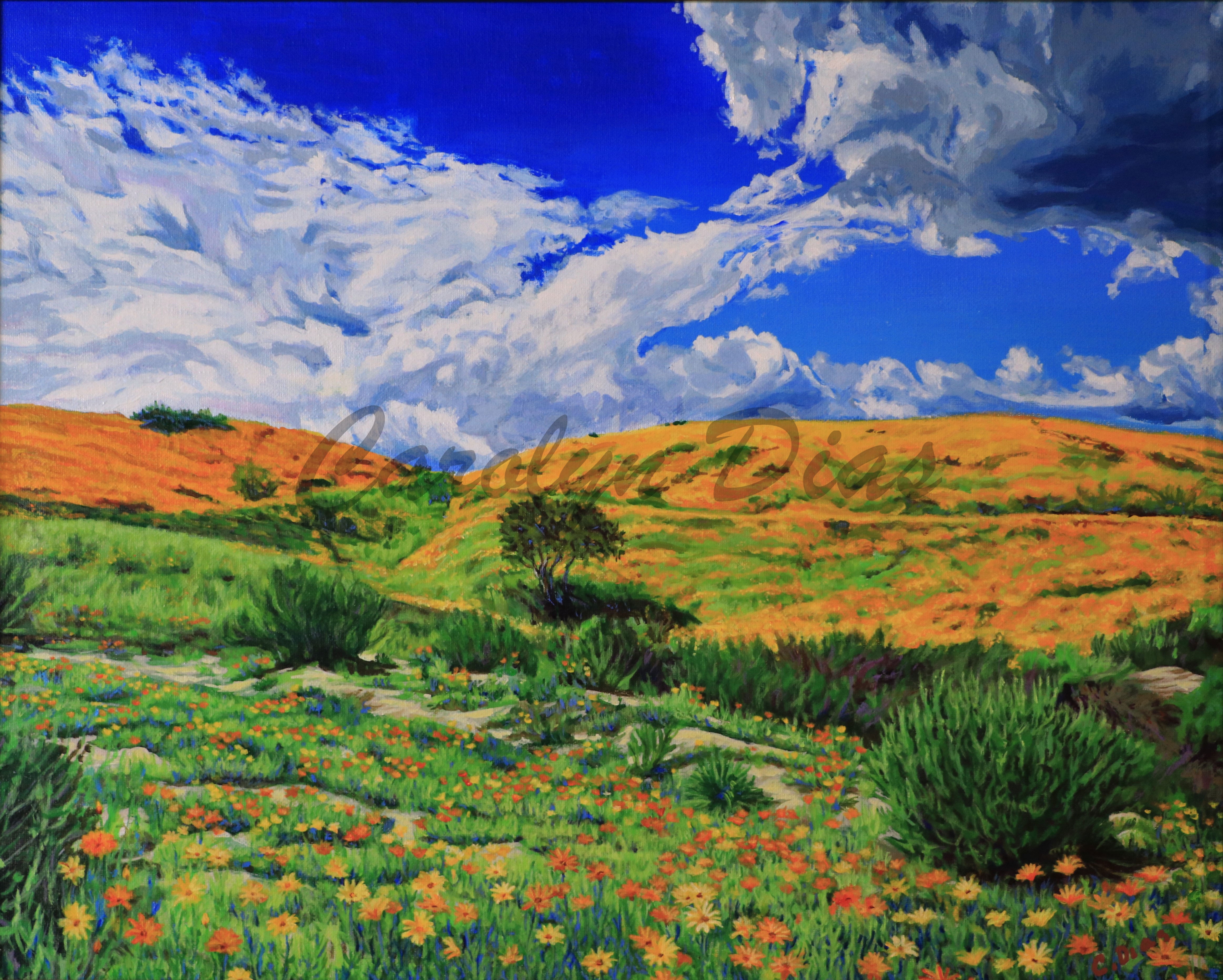 Pauma Valley Spring Bloom Painting