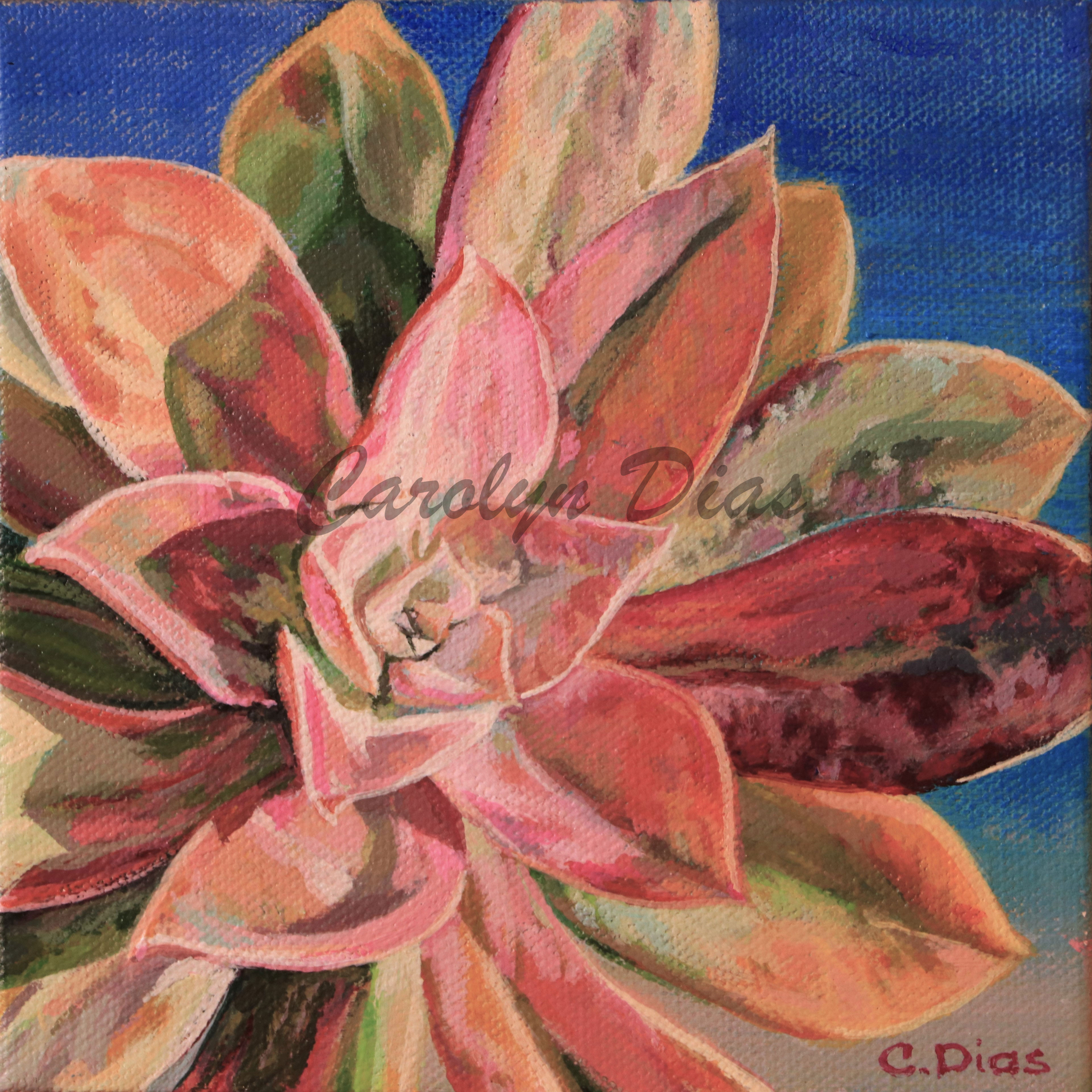 Succulent 4 Painting