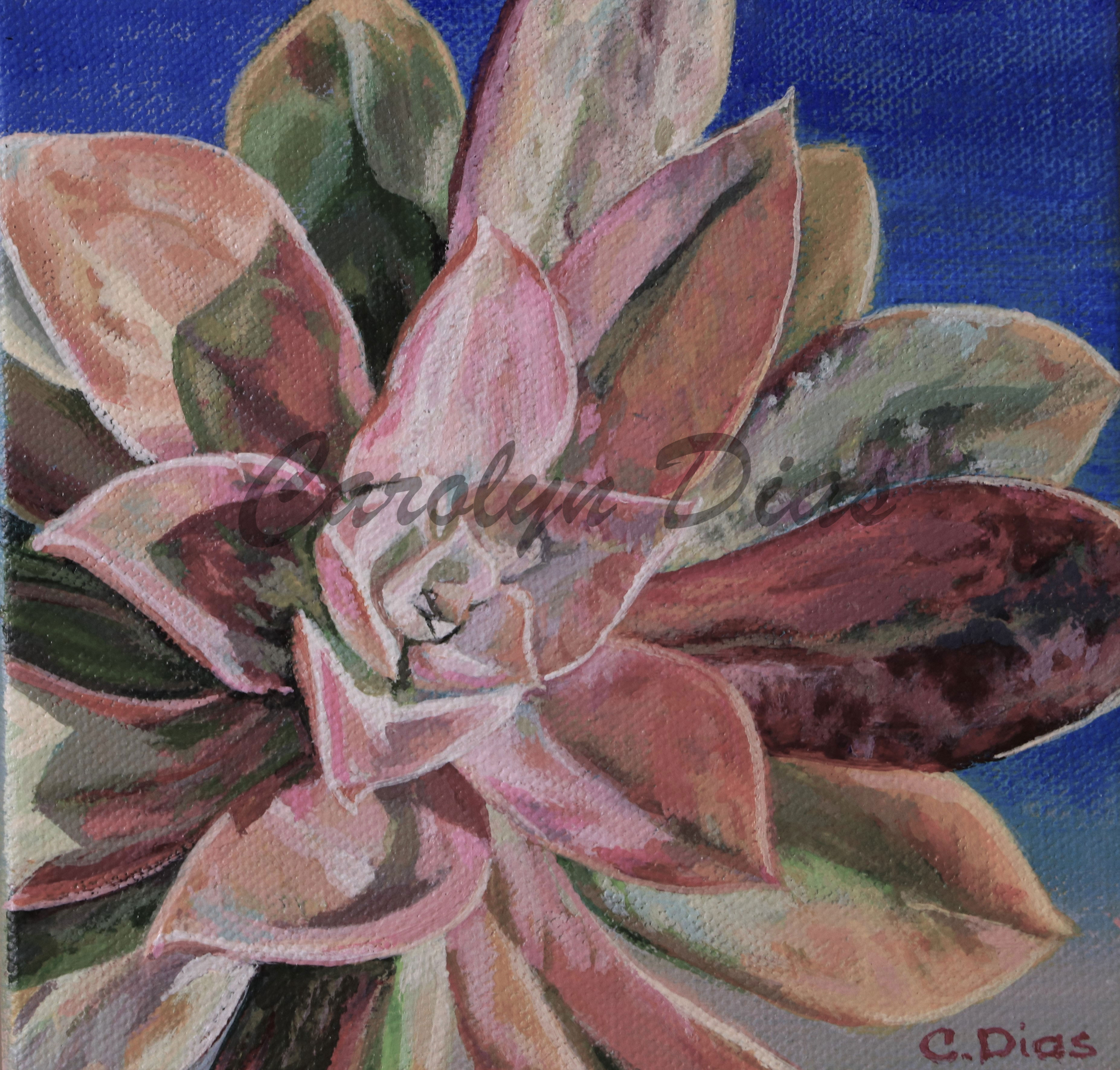 Succulent 3 Painting