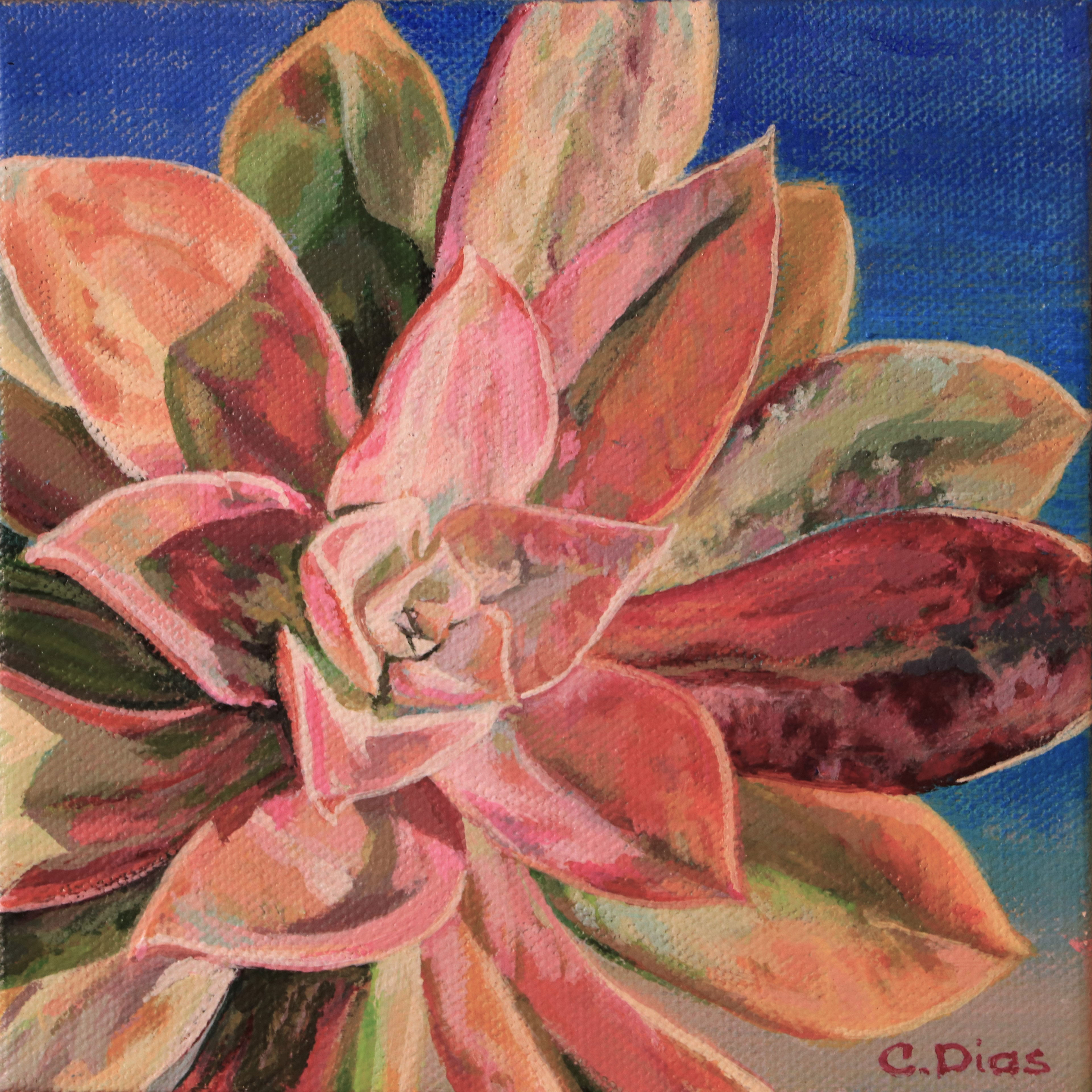 Succulent Painting