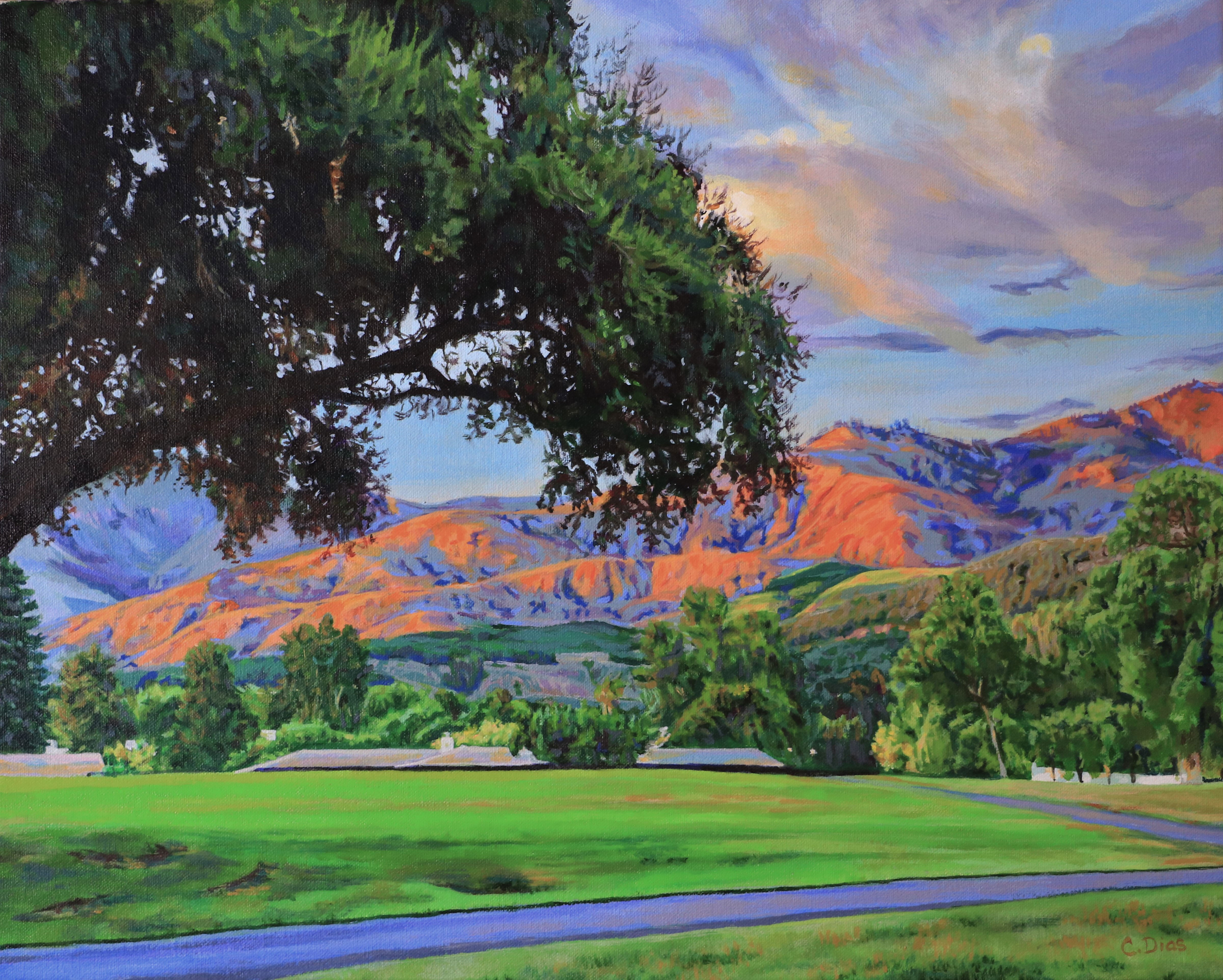 Pauma Valley Sunset Painting